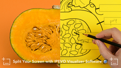 Split Your Screen with IPEVO Visualizer Software